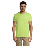 solsregenttpaitaapplegreen_6005.png