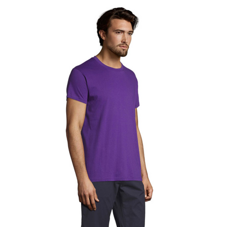 solsregenttpaitadarkpurple1_6042.png