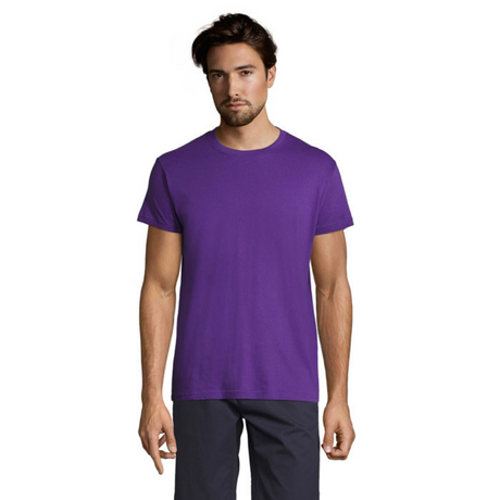 solsregenttpaitadarkpurple_6041.png