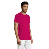 solsregenttpaitafuchsia1_5964.png