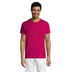 solsregenttpaitafuchsia_5963.png
