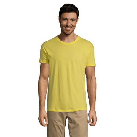 solsregenttpaitalemon_5996.png