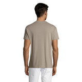 solsregenttpaitalightgrey2_6064.png