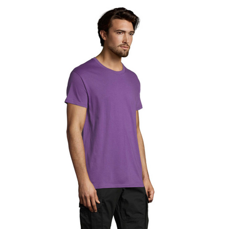 solsregenttpaitalightpurple1_6045.png