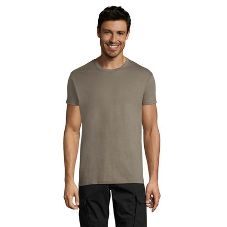 solsregenttpaitazinc_6068.png