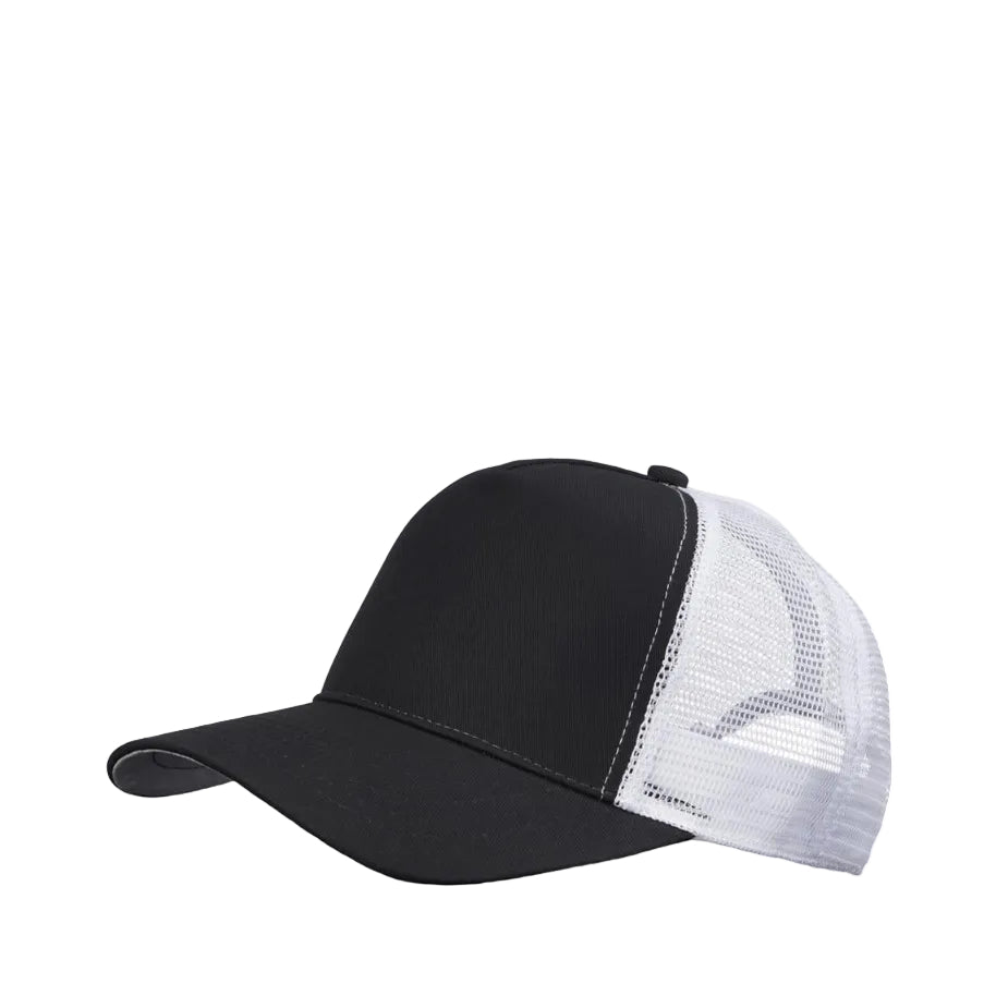 truckplayerlippalakkimustavalkoinen2_9135.jpg