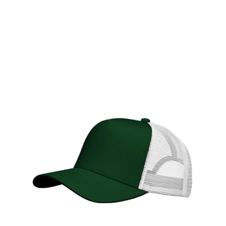 truckplayerlippalakkivihrevalkoinen1_9140.png