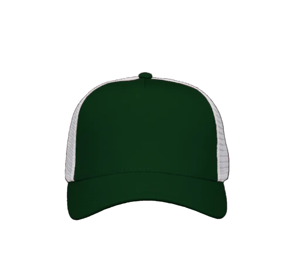 truckplayerlippalakkivihrevalkoinen2_9141.png