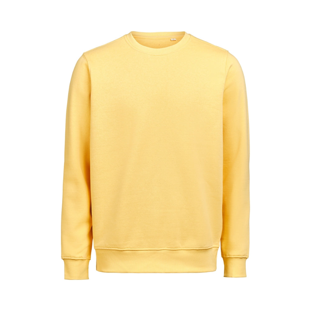 umcrewneckregularfitray_12780.jpg