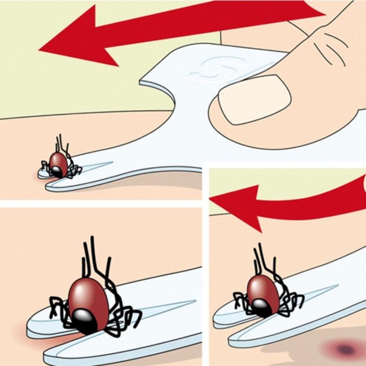 SafeCard punkinpoistaja
