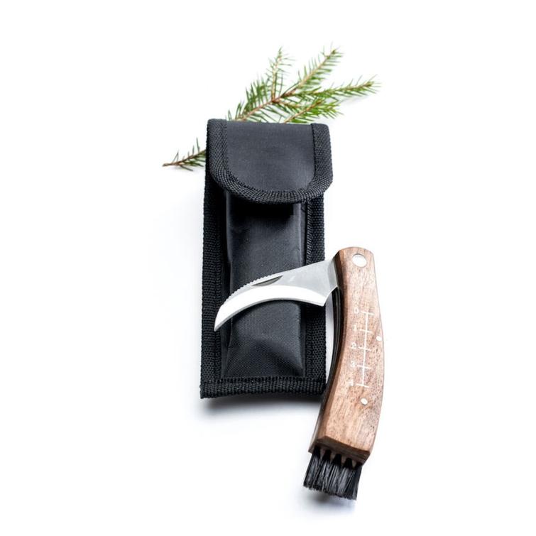 Sieniveitsi kotelossa