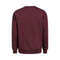 UM Crewneck Regular Fit