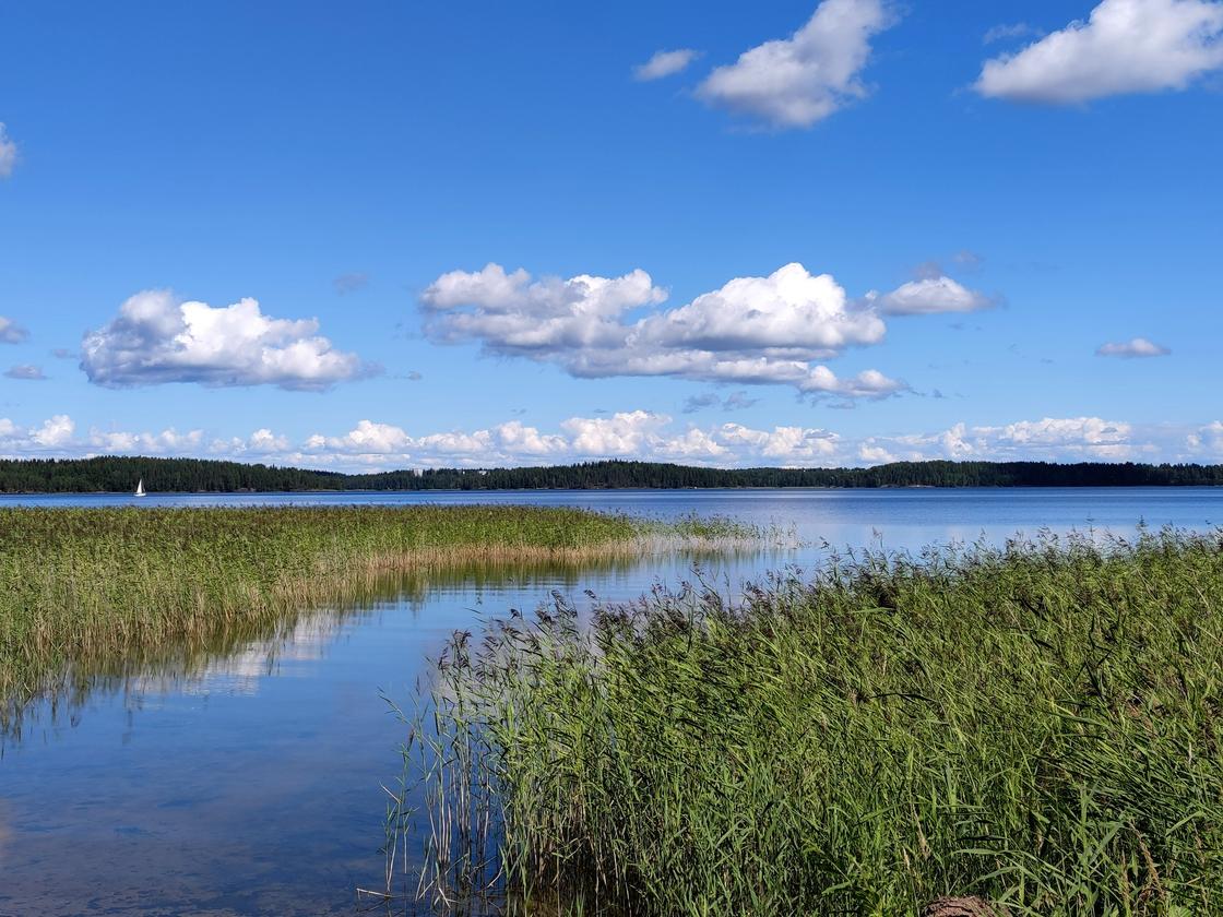Kuva tulossa