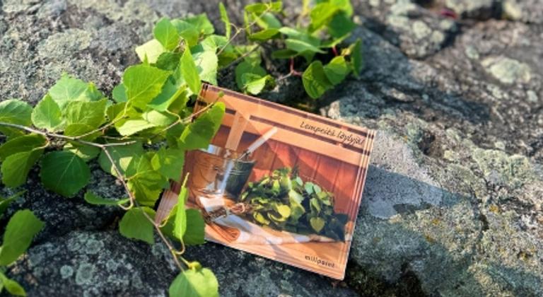 Löylytuoksupussi koivunlehtirouhe