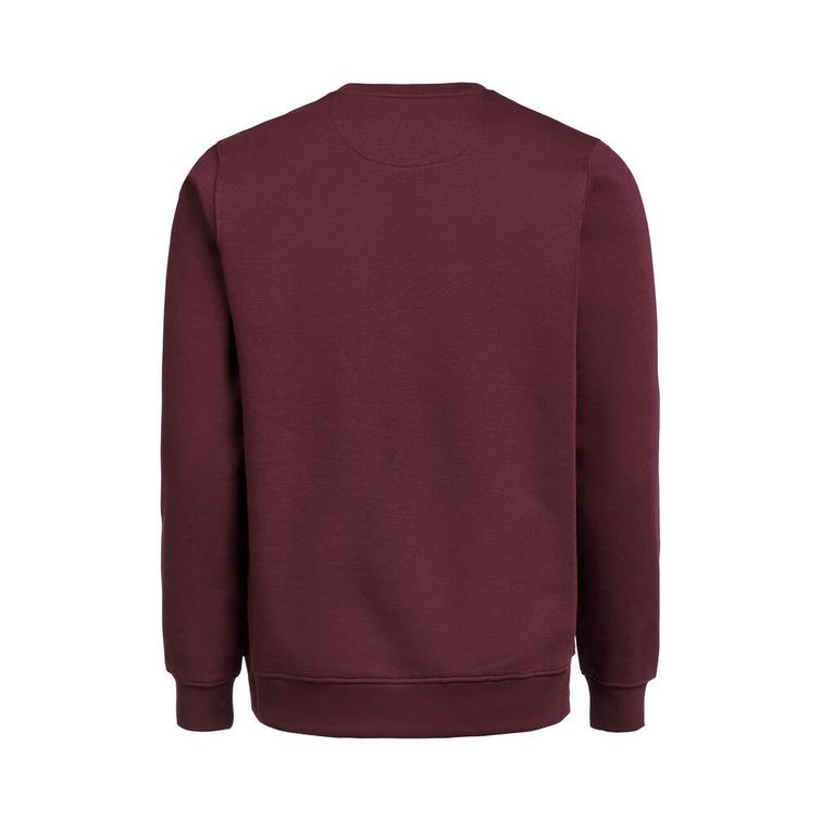 UM Crewneck Regular Fit