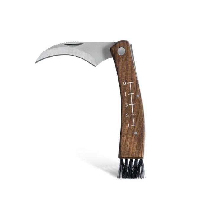 Sieniveitsi kotelossa