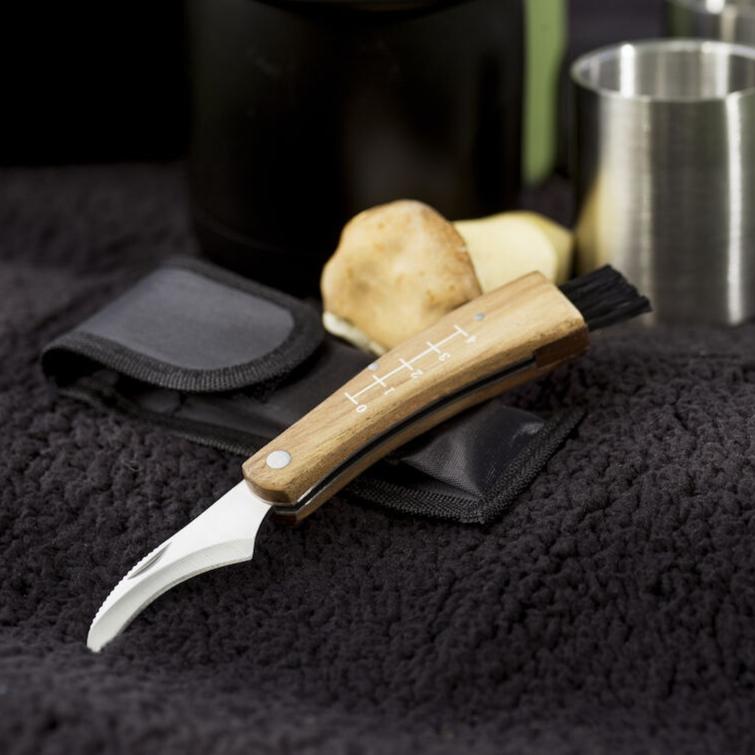 Sieniveitsi kotelossa