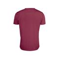 Basic Active-T M