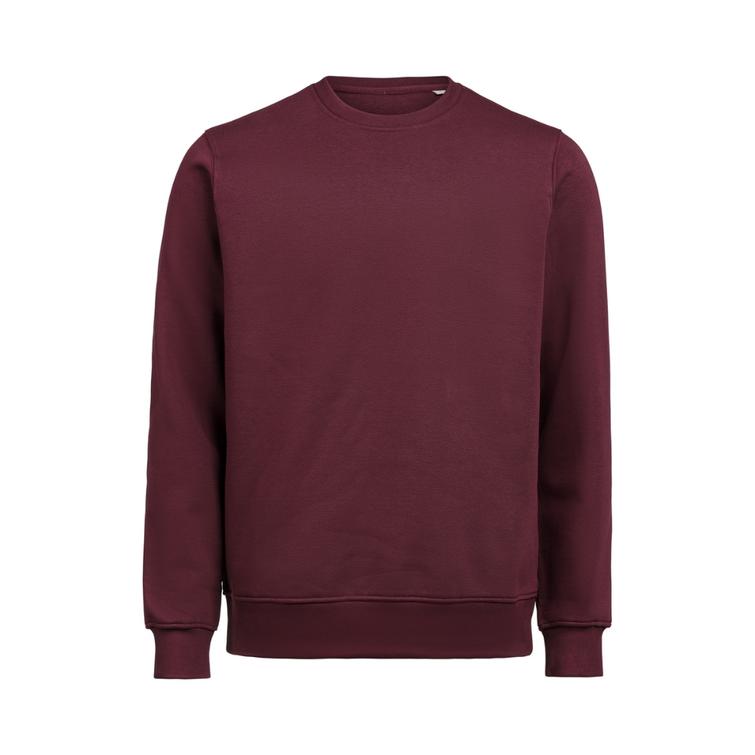 UM Crewneck Regular Fit