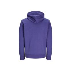 Jack & Jones Basic huppari