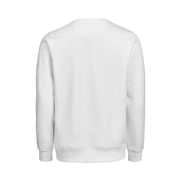 UM Crewneck Regular Fit