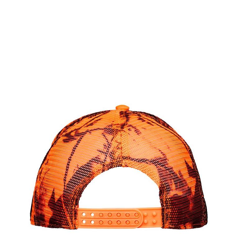 Truck player lippalakki