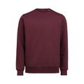 UM Crewneck Regular Fit