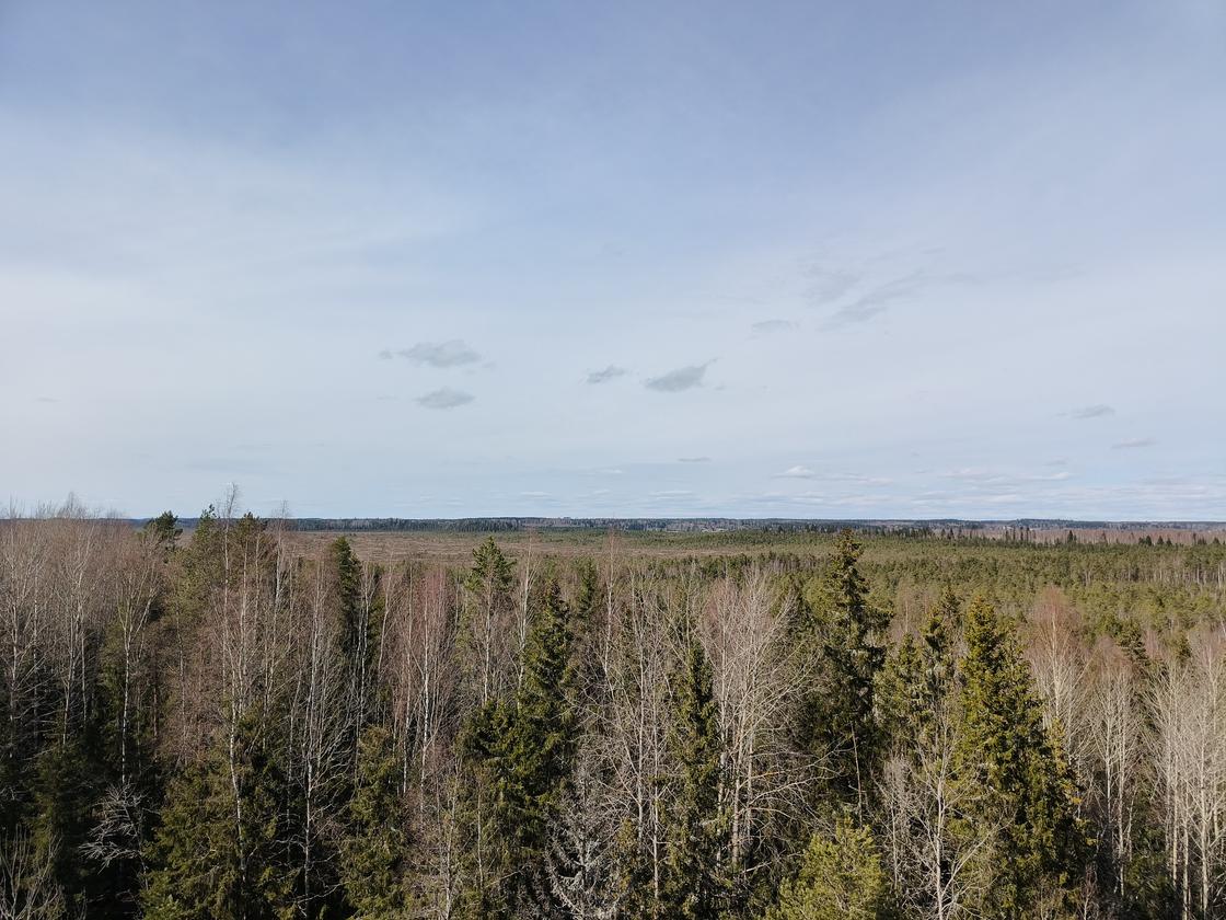 Kuva tulossa