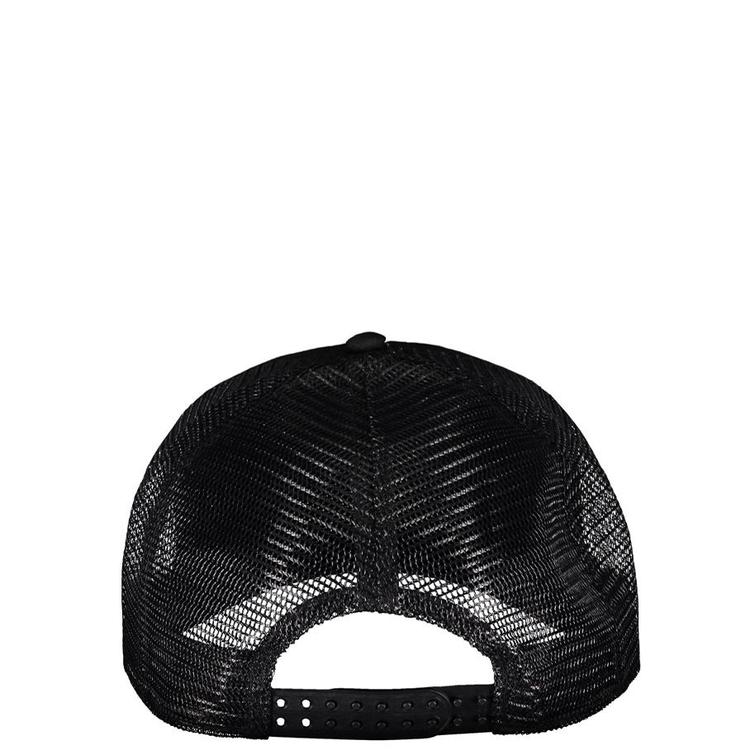 Truck player lippalakki