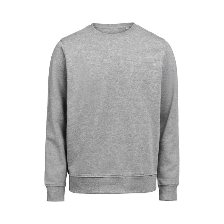 UM Crewneck Regular Fit